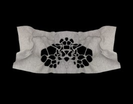 Material Architecture Lab