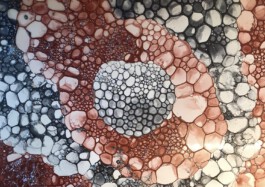 Material Architecture Lab