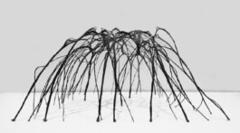 Material Architecture Lab